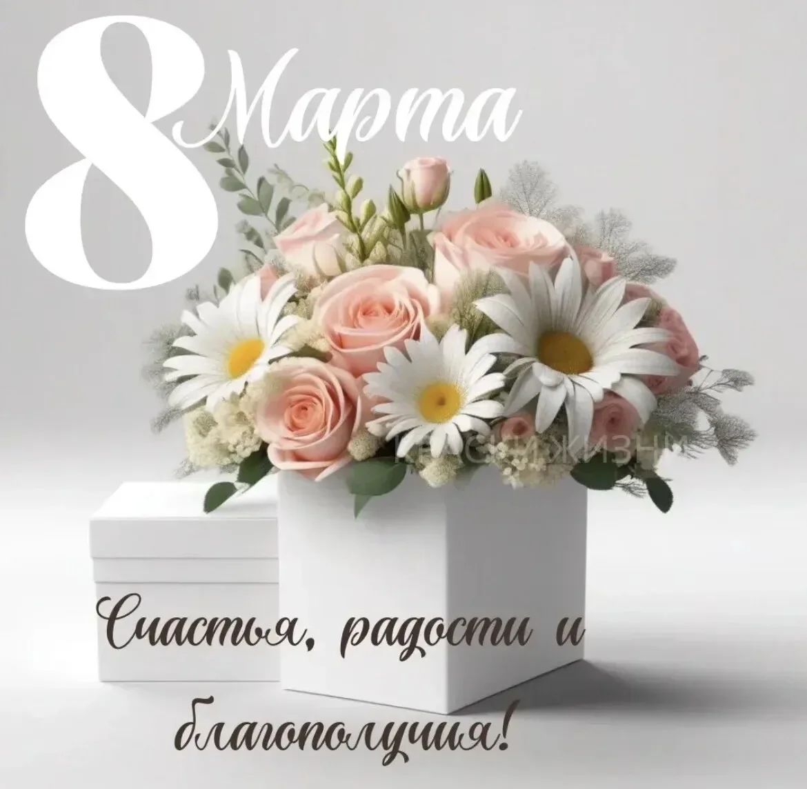 Card image 1