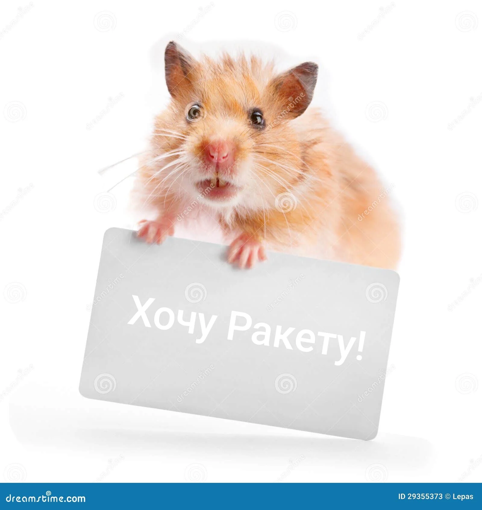 Card image 1