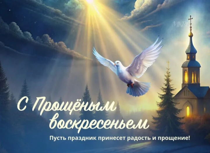Card image 2