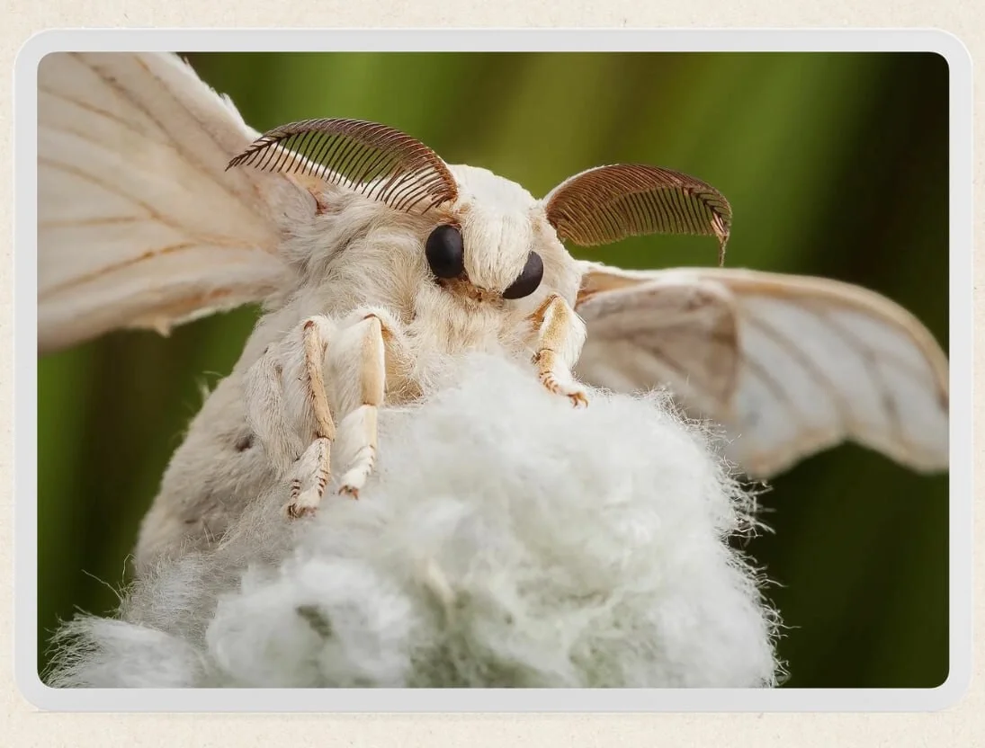 Card image 1