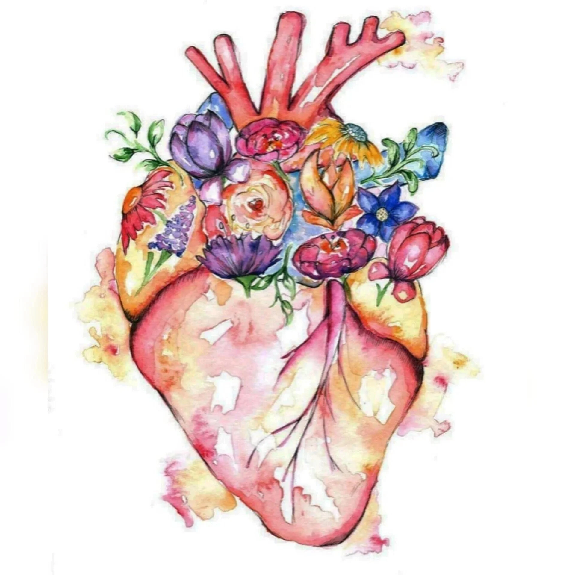 Card image 2