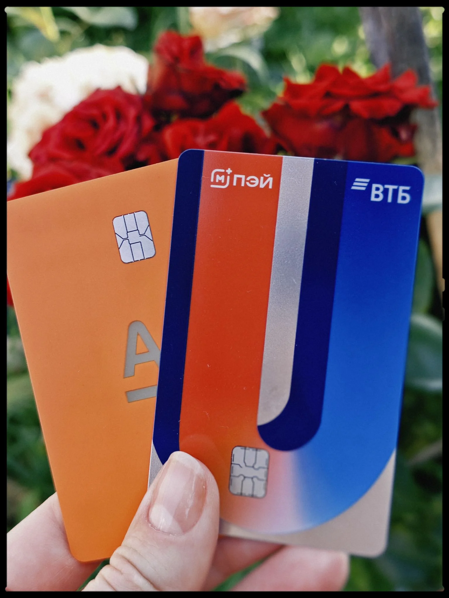 Card image 1