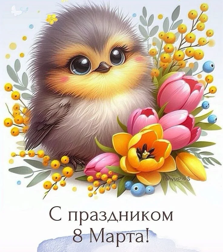 Card image 1