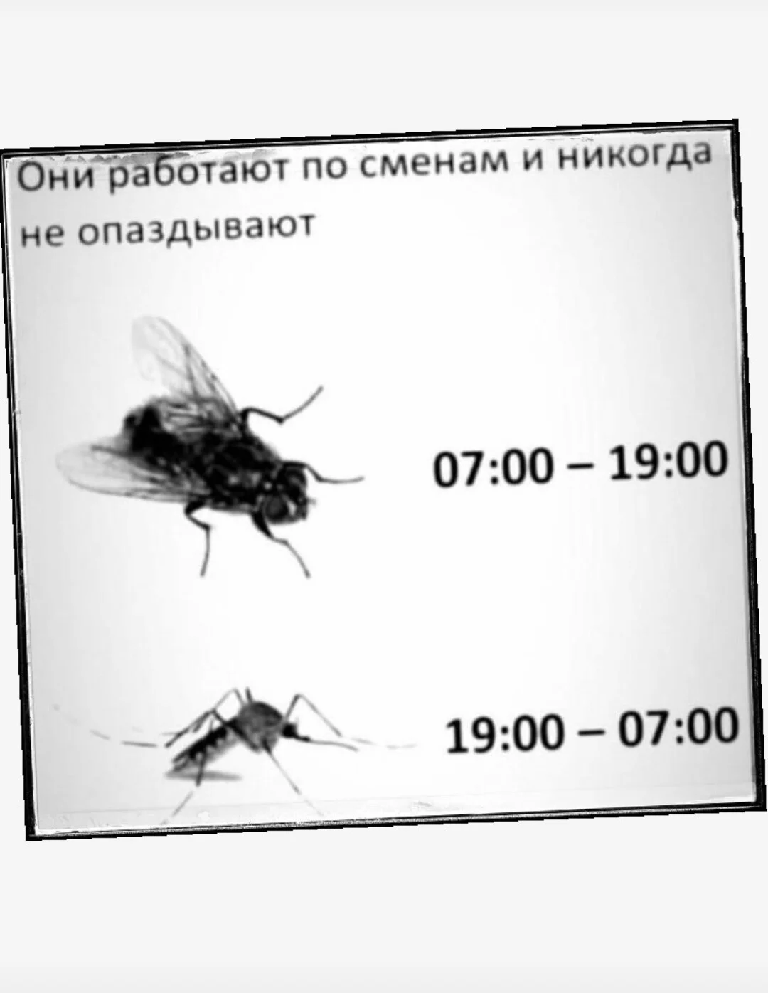 Card image 1