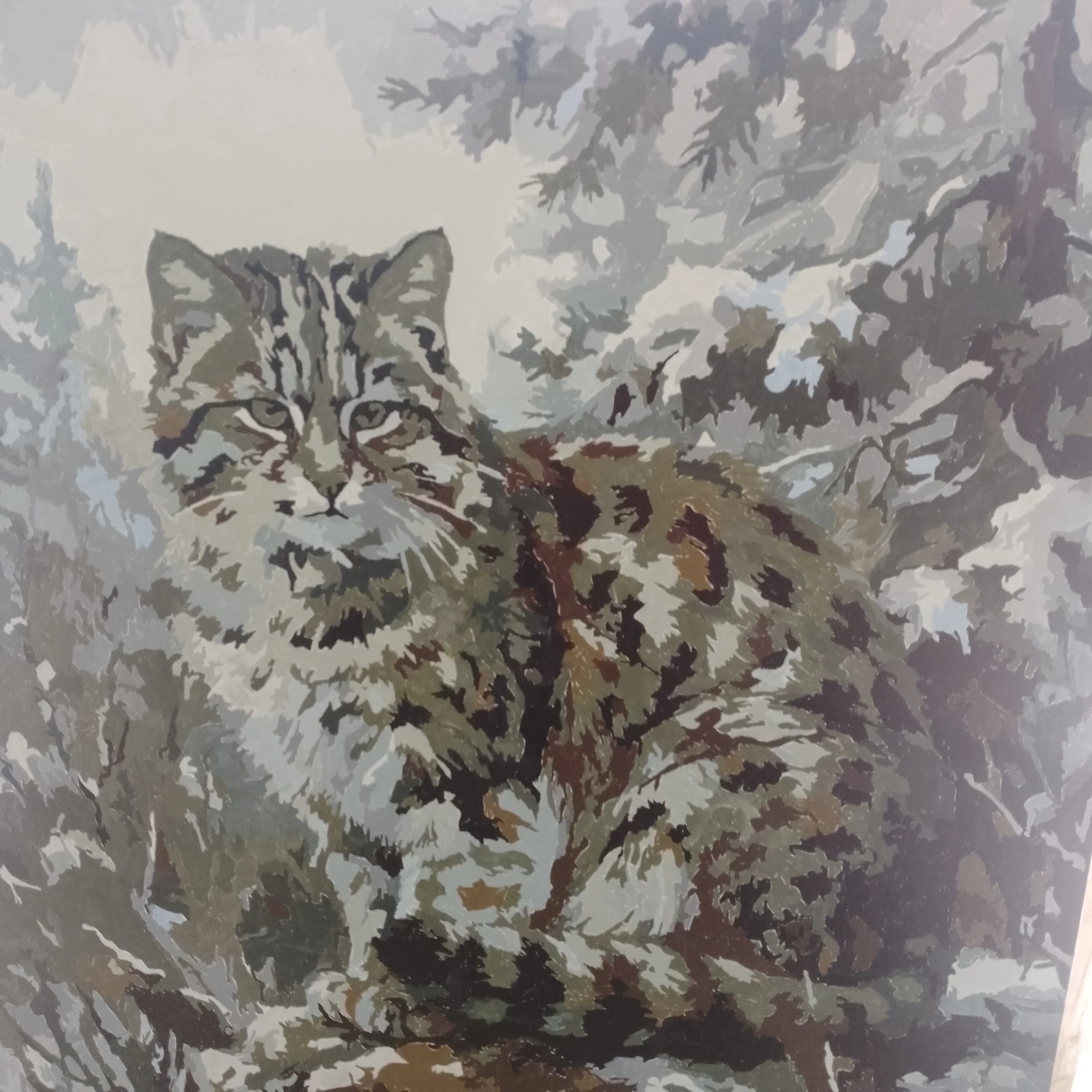 Card image 2