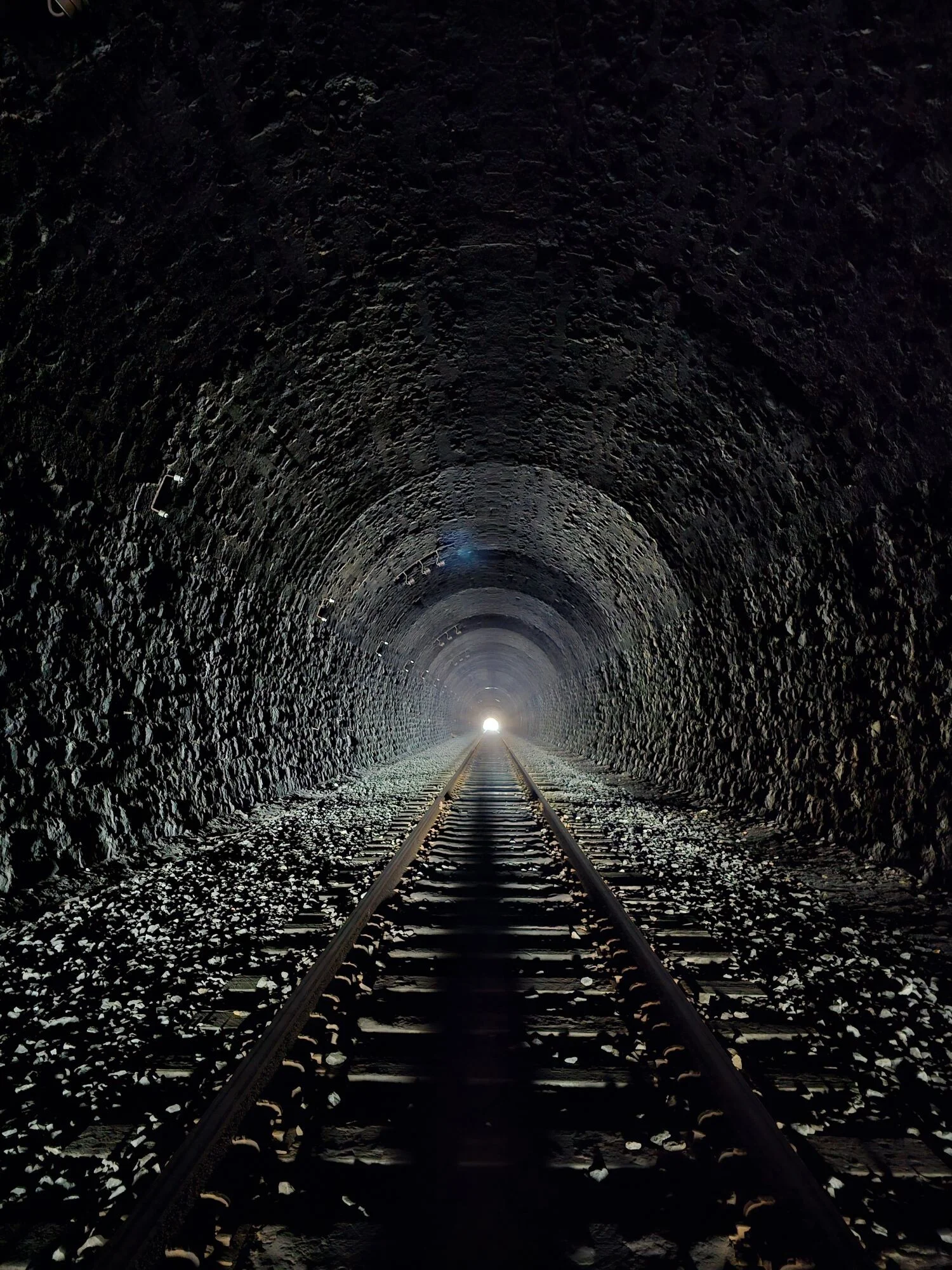Card image 2