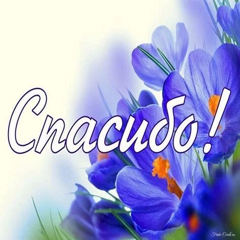 Card image 3