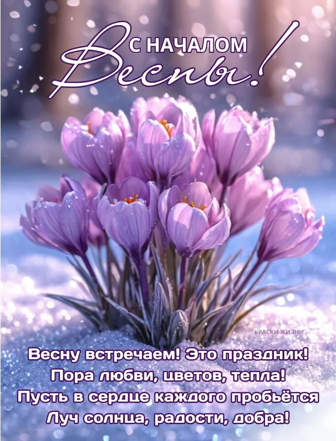 Card image 1