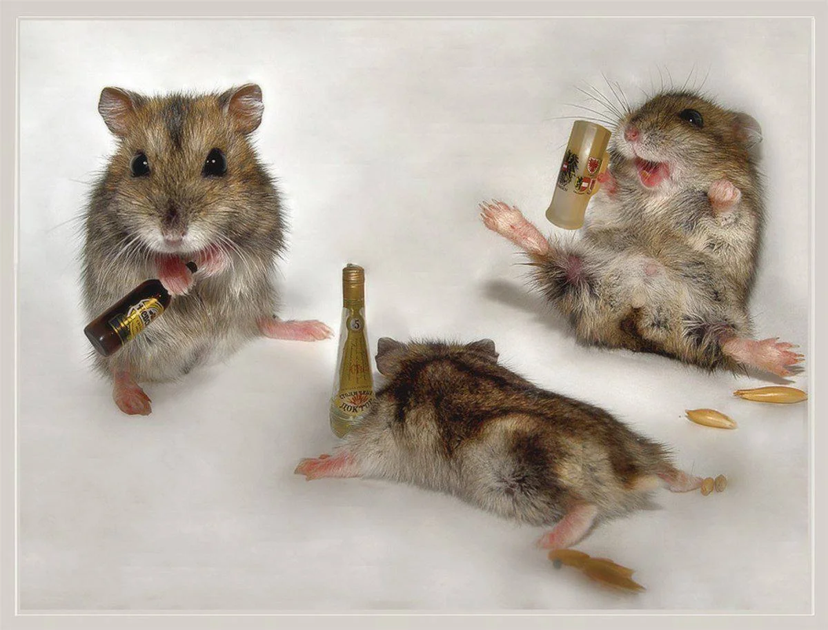 Card image 1
