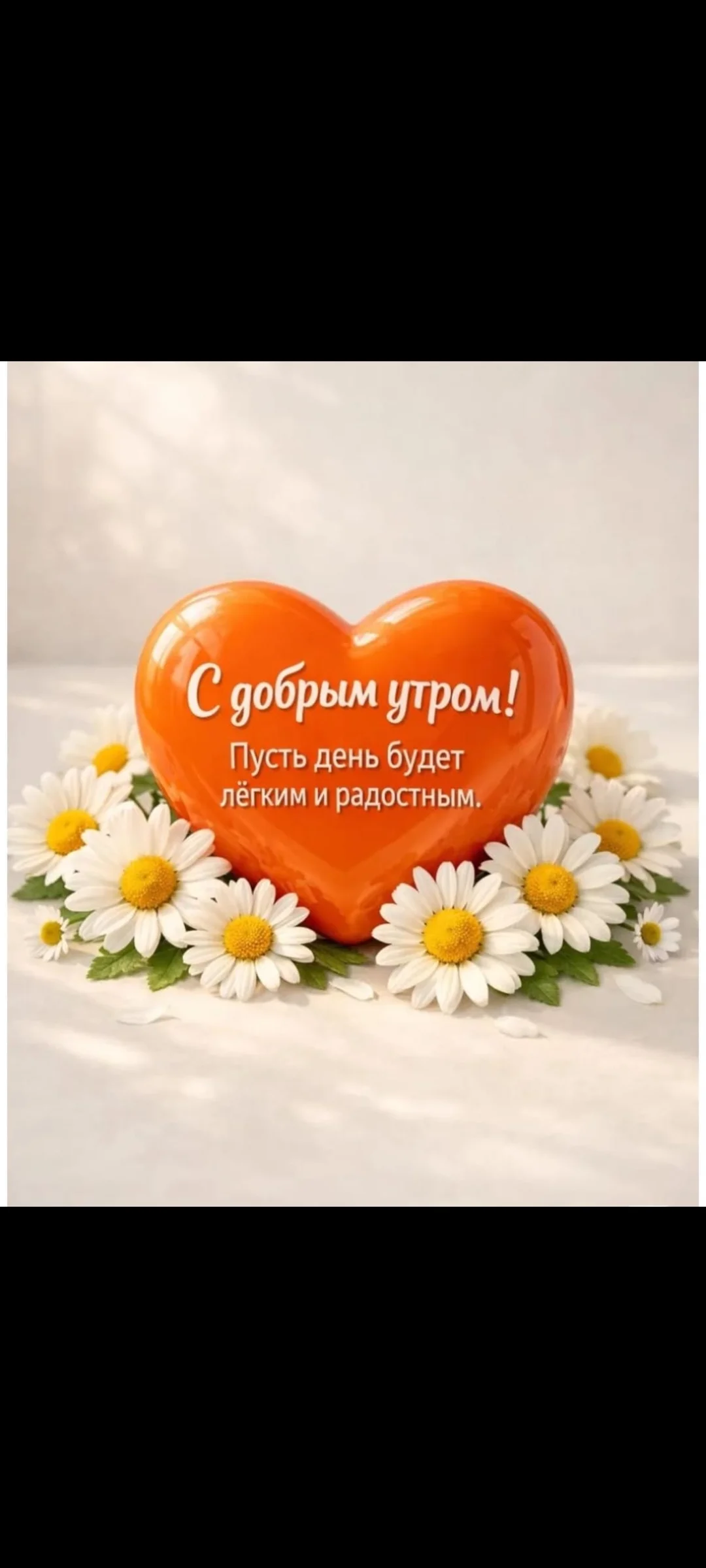 Card image 3