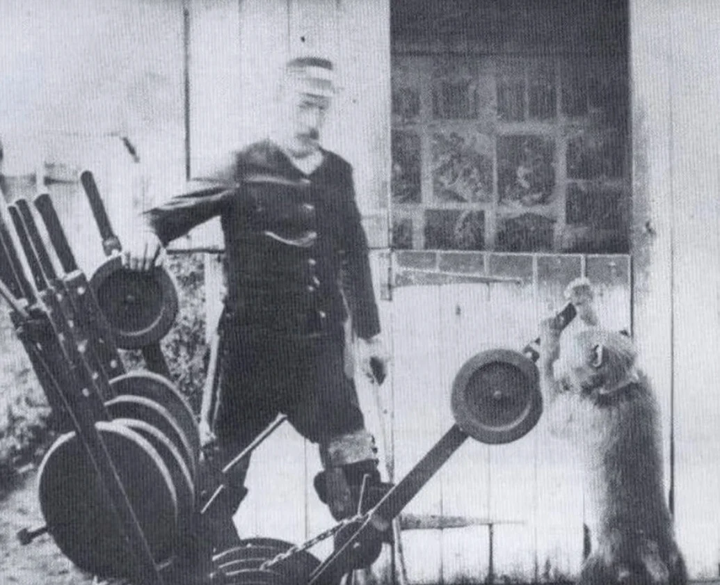 Card image 3