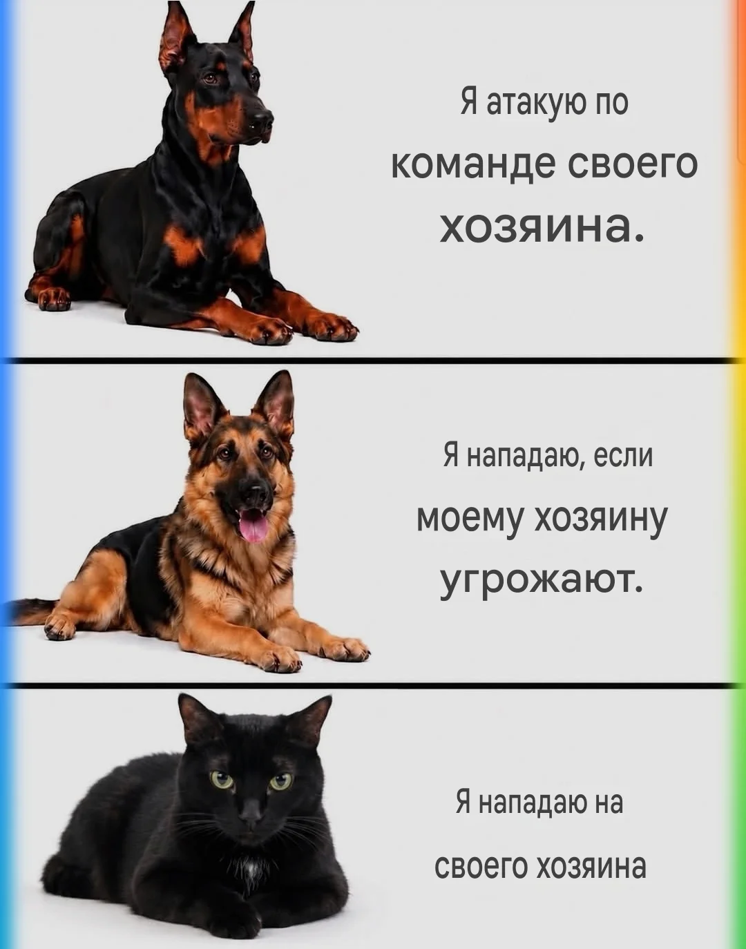 Card image 1