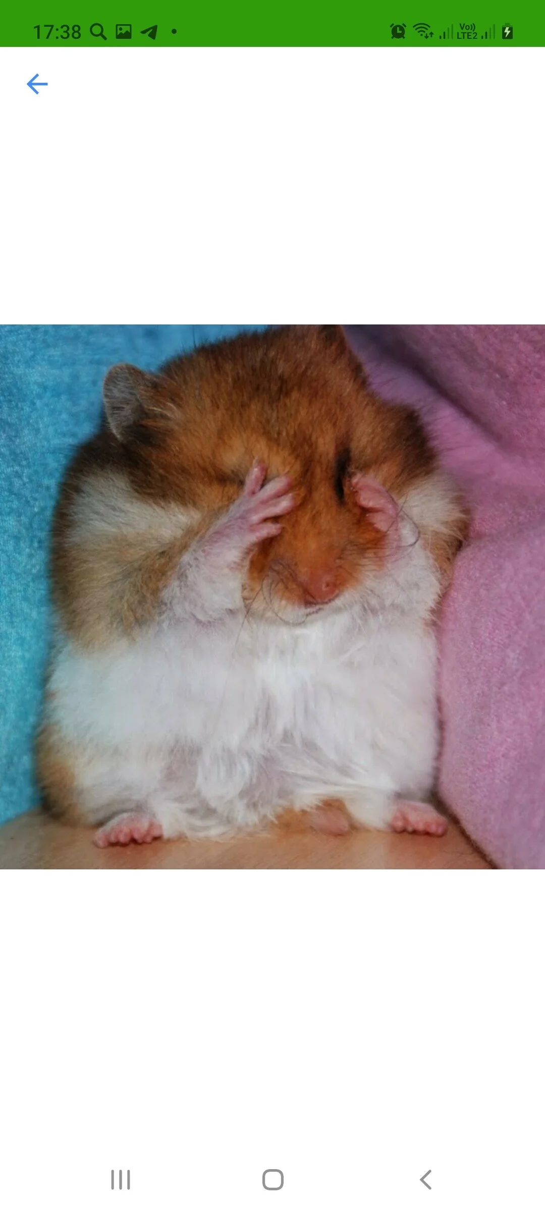 Card image 1