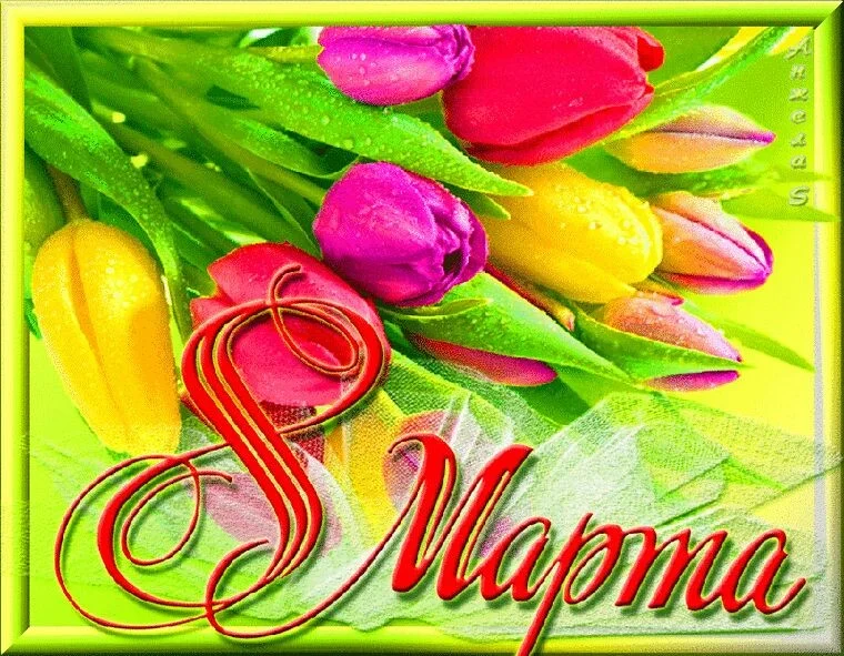 Card image 1