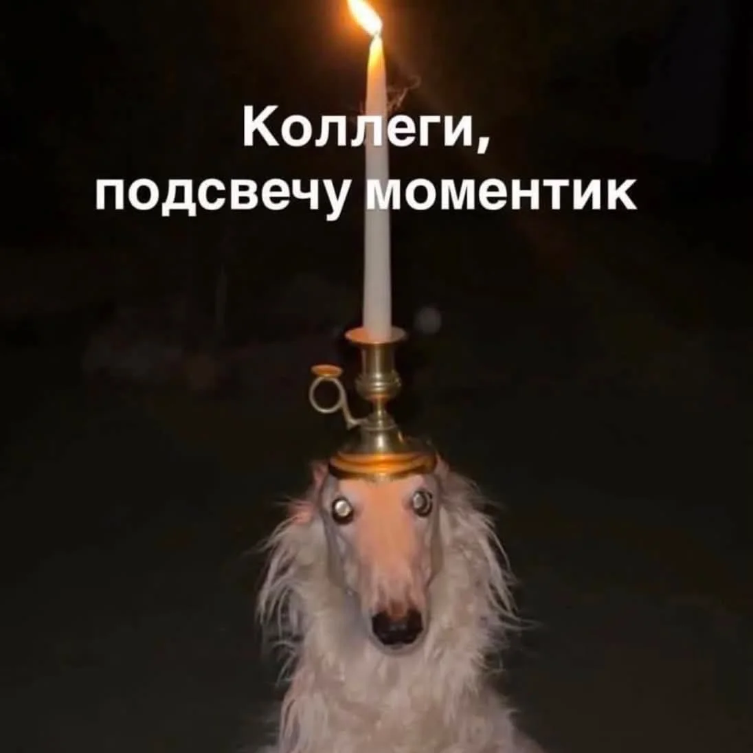 Card image 2