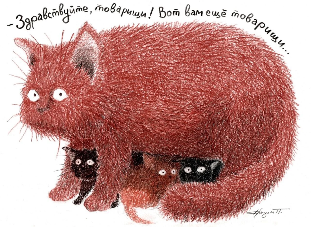 Card image 2