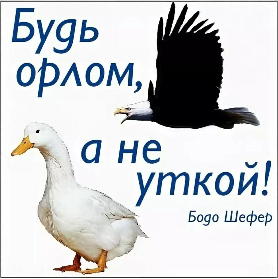 Card image 1