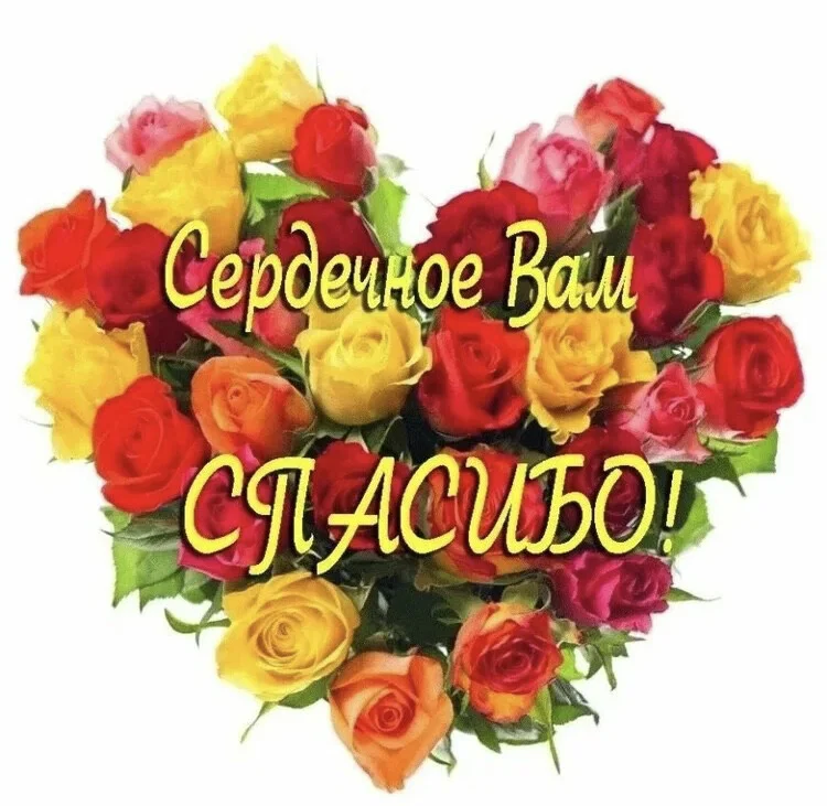 Card image 1