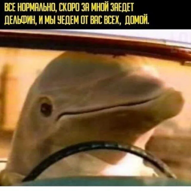 Card image 1