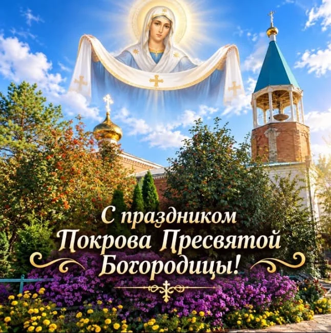 Card image 2