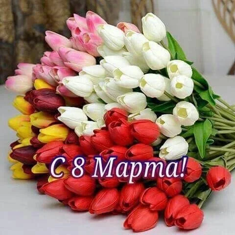 Card image 1
