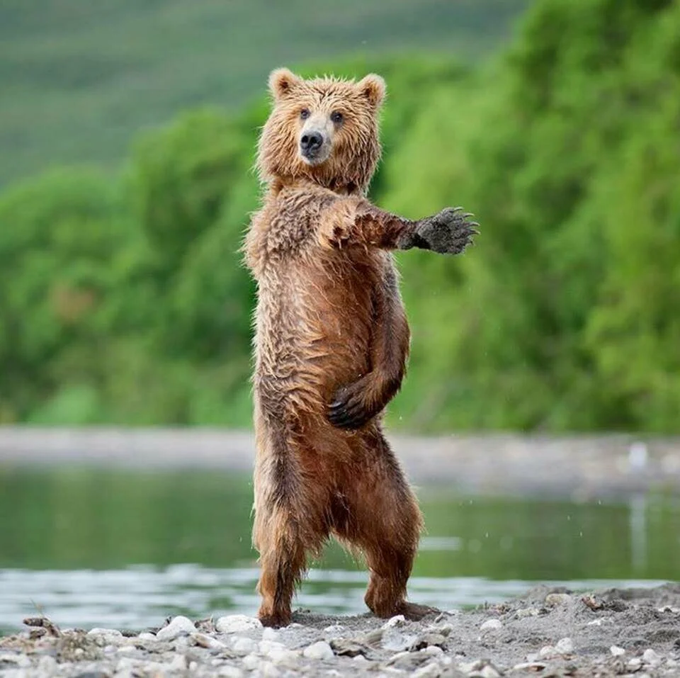 Card image 1
