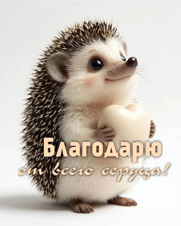 Card image 2
