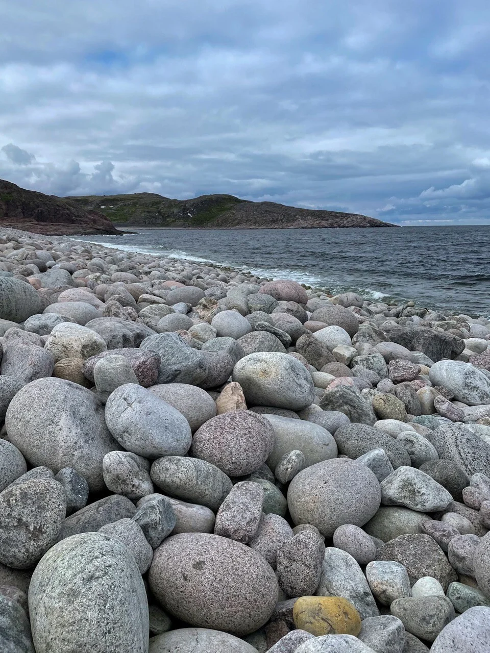 Card image 2
