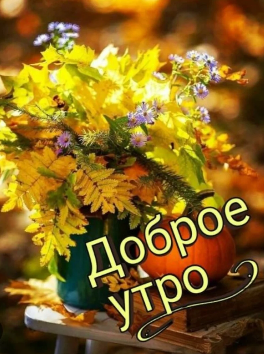 Card image 1