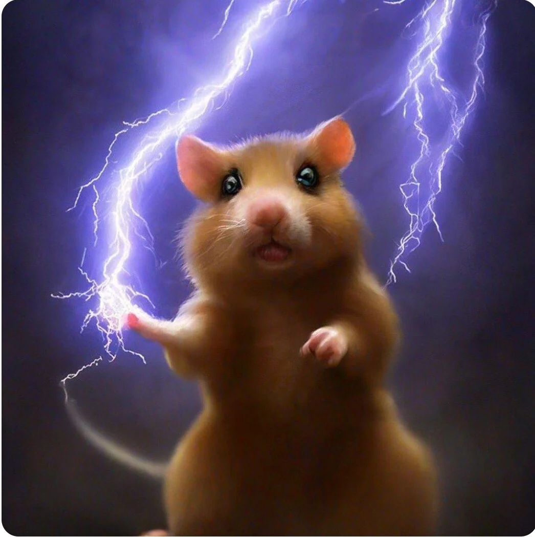 Card image 1