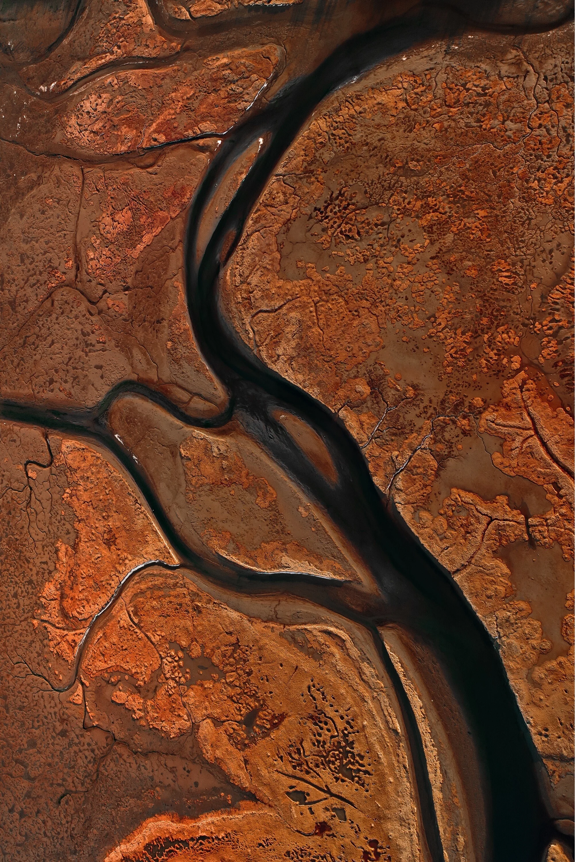 Card image 3
