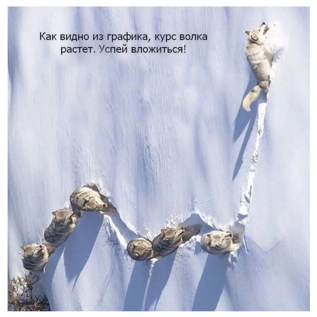 Card image 1