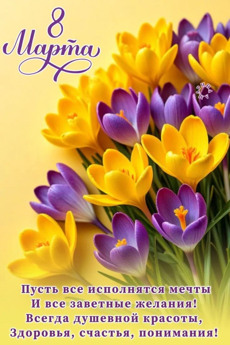 Card image 2