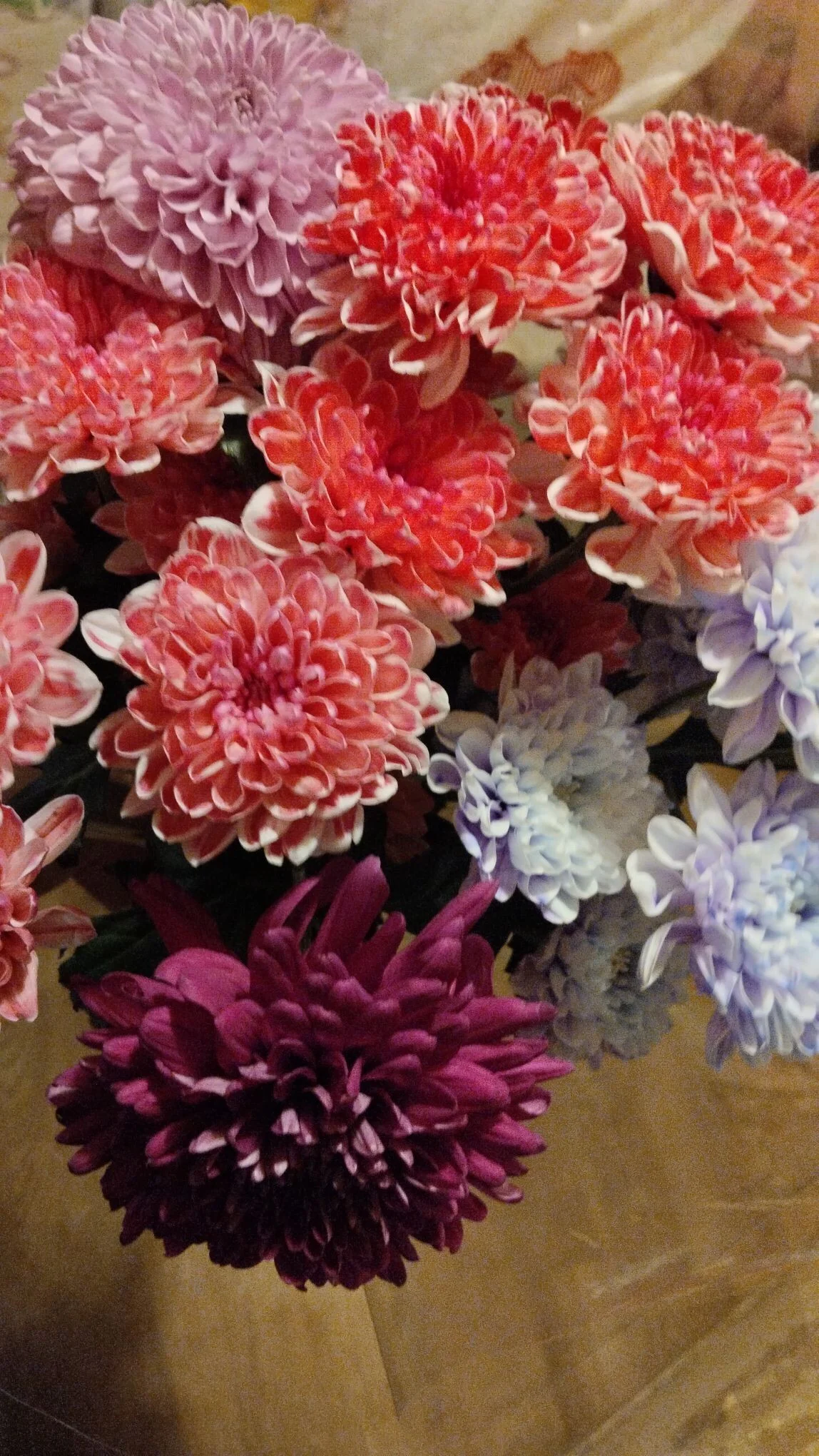 Card image 1