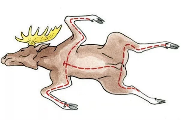 Card image 1
