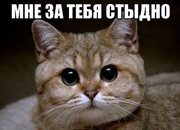 Card image 1