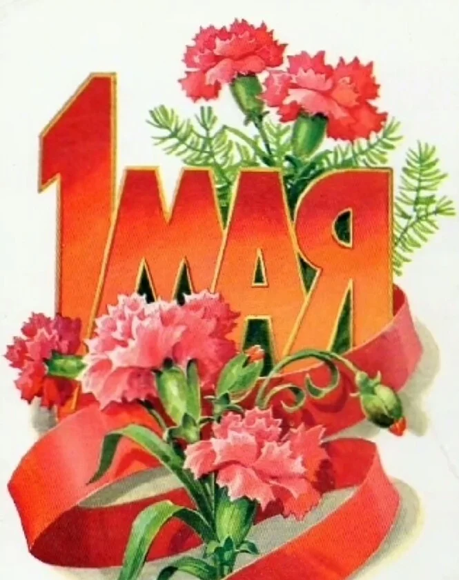 Card image 3