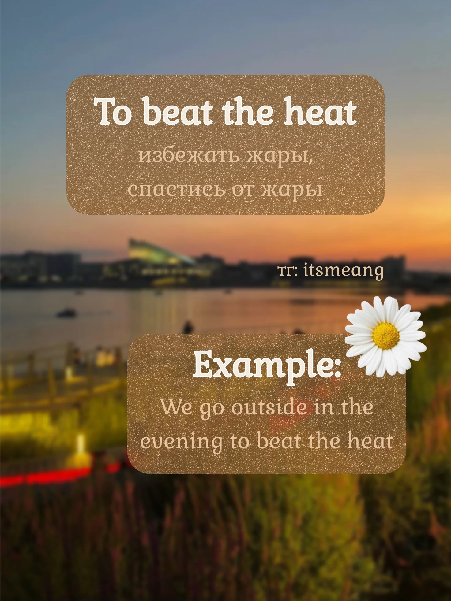 Card image 2