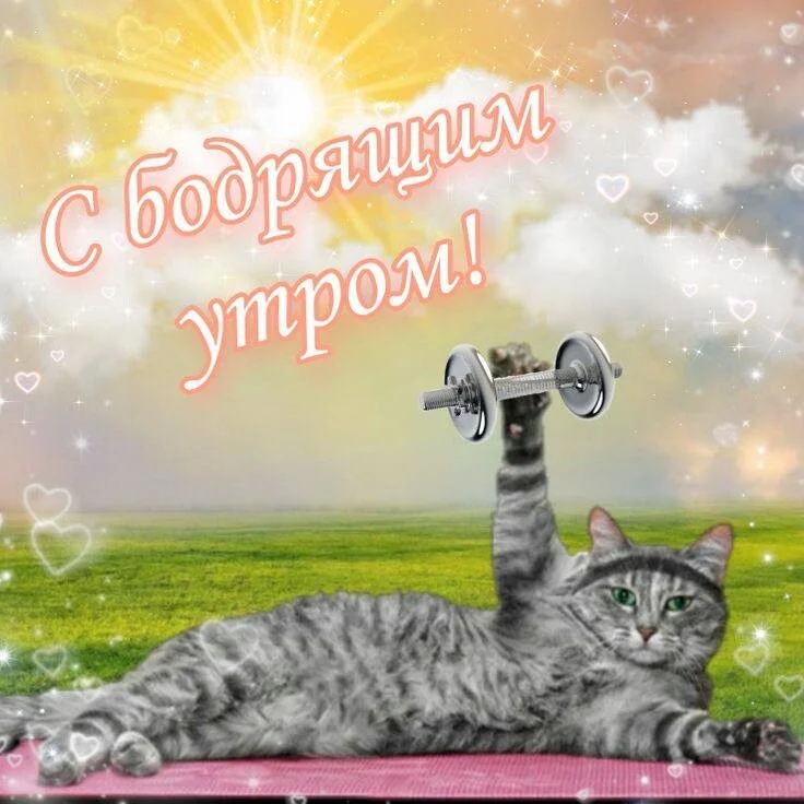 Card image 1