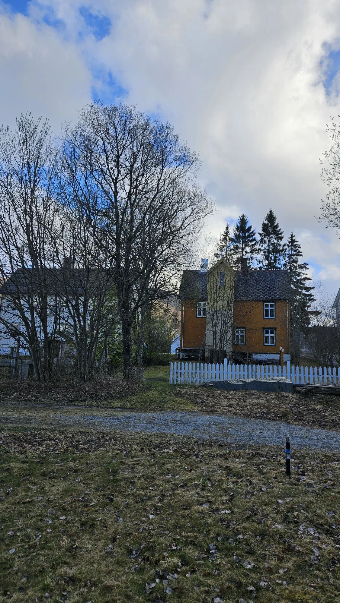 Card image 3