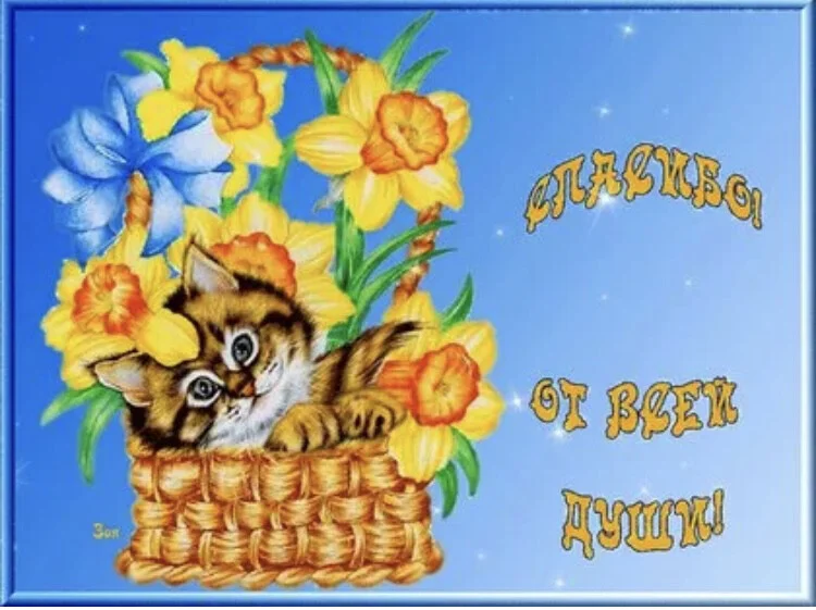 Card image 1