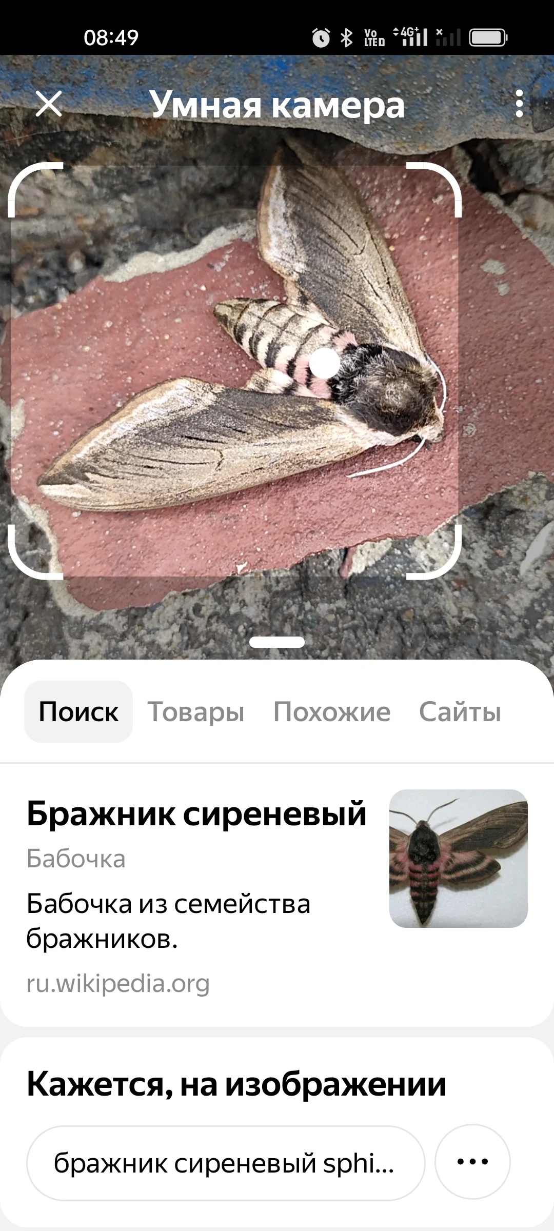 Card image 2