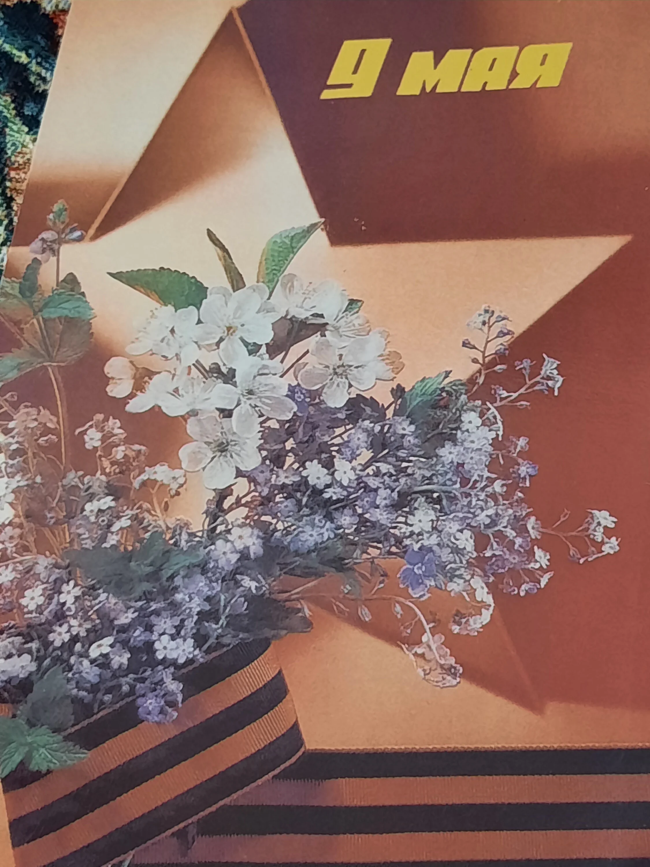 Card image 1