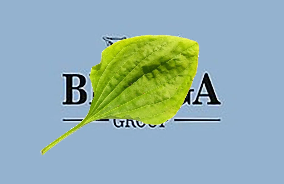 Card image 1