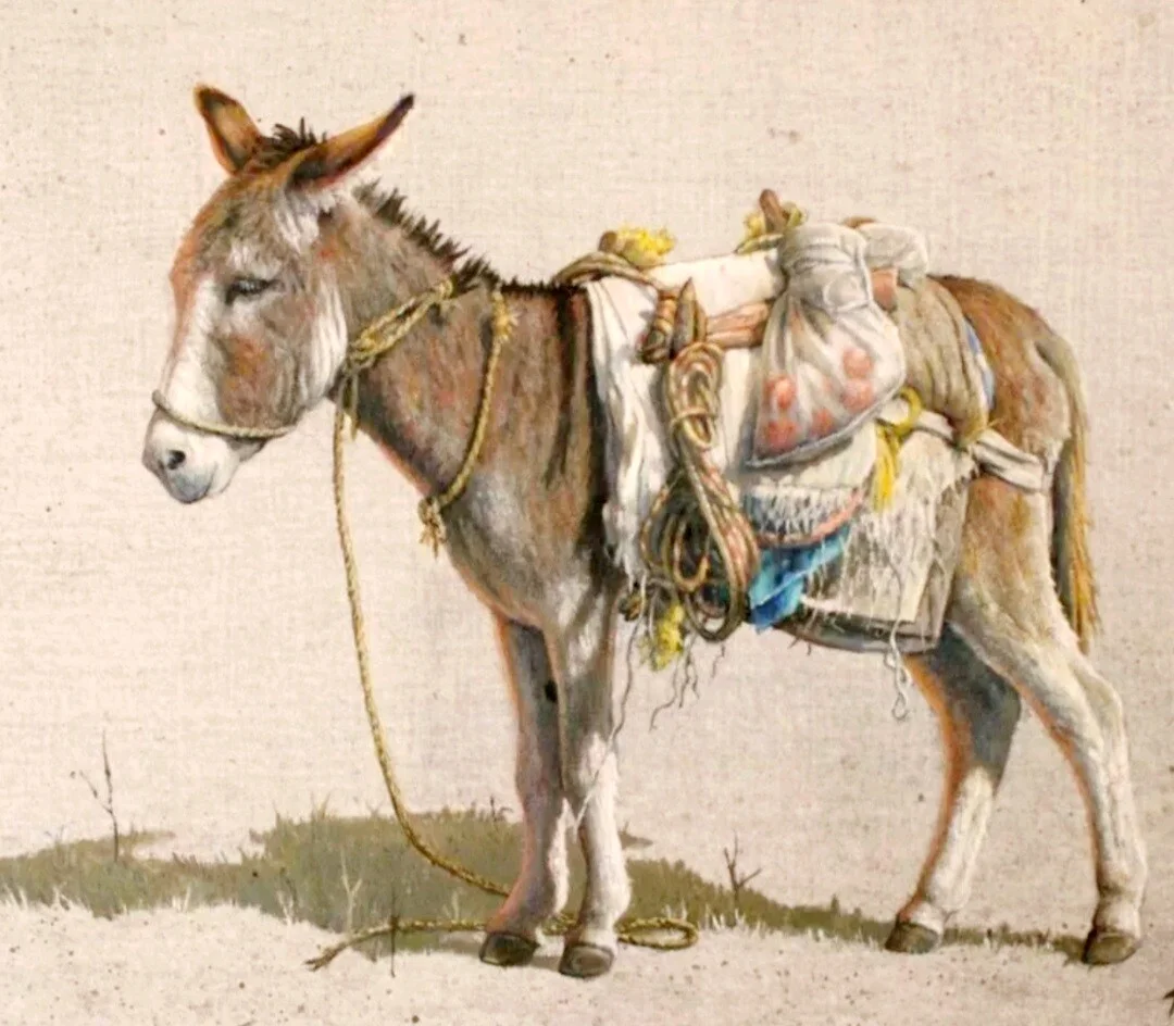 Card image 1