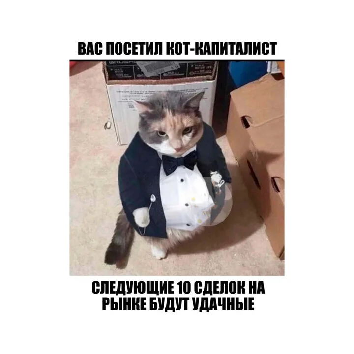 Card image 1