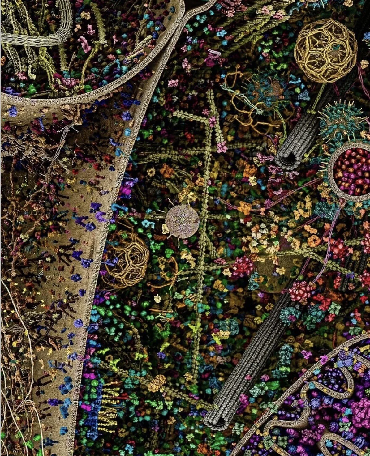 Card image 2