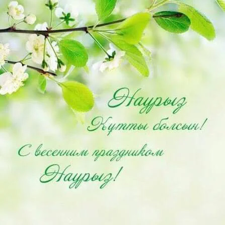 Card image 1