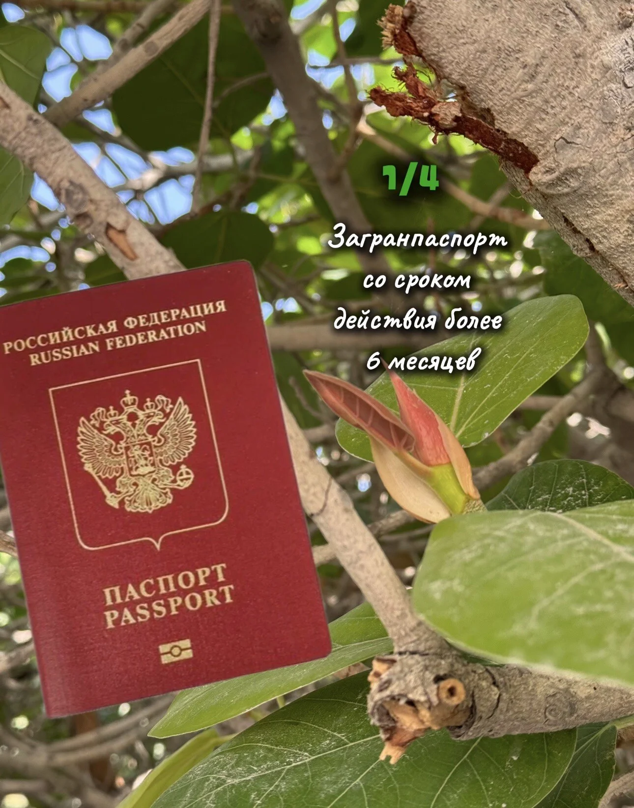 Card image 2