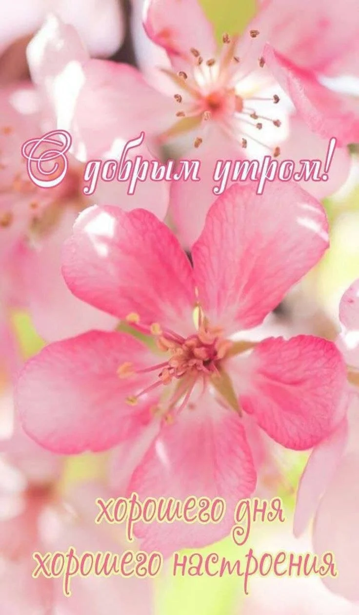 Card image 1